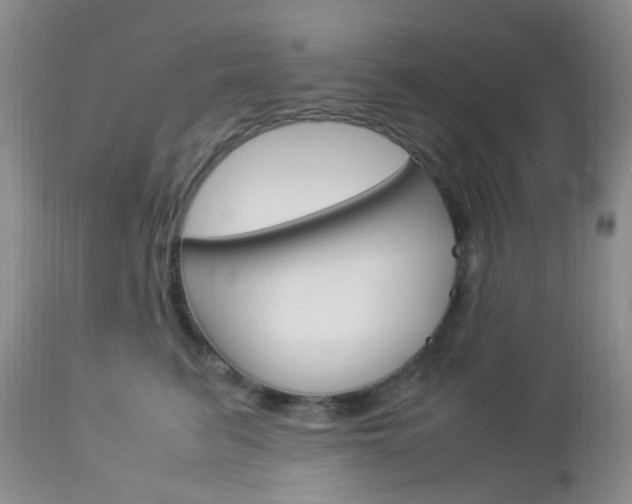 X0000113110615200908281019