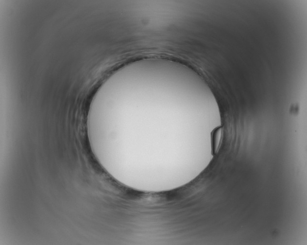 X0000113110619200908281019