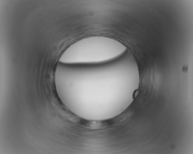 X0000113110623200908281019