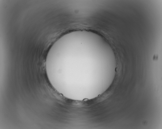 X0000113110624200908281019