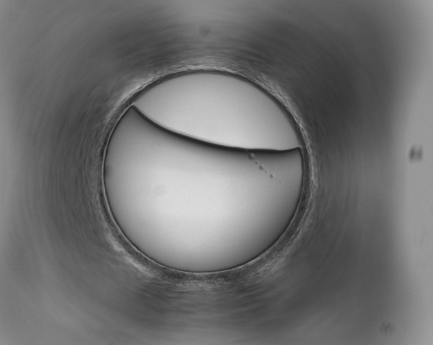 X0000113110625200908281018