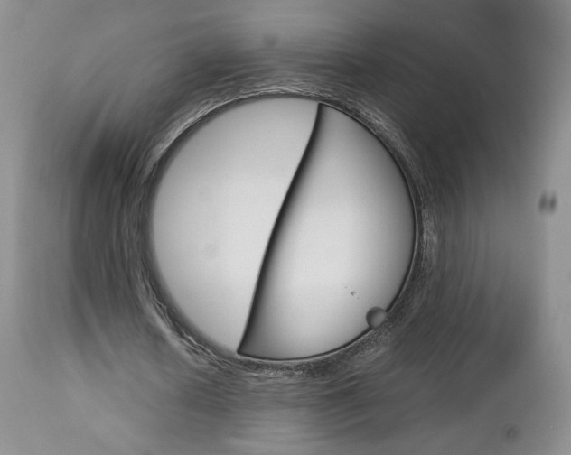 X0000113110626200908281018