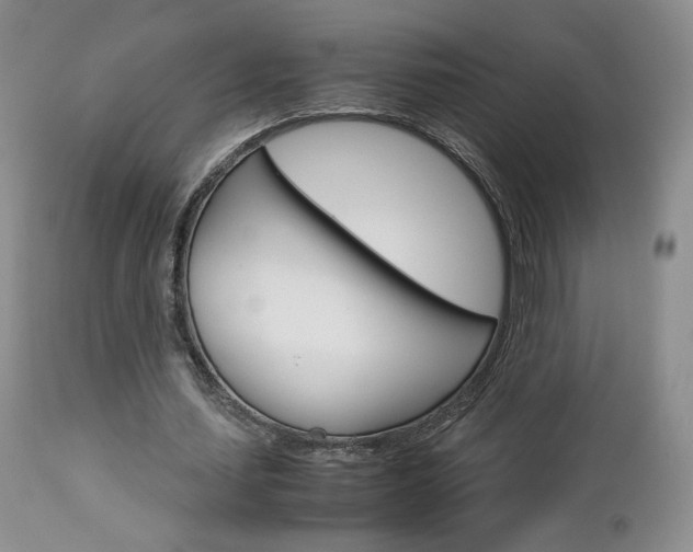 X0000113110627200908281018
