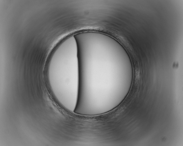 X0000113110628200908281018