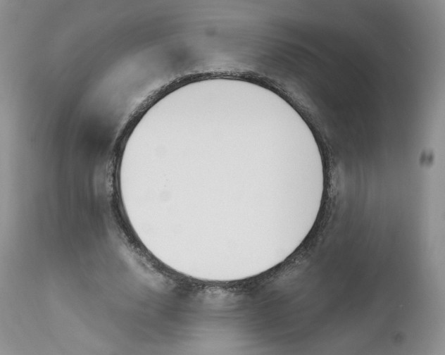 X0000113110632200908281019