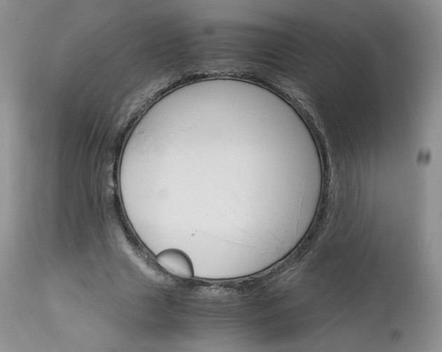 X0000113110633200908281019