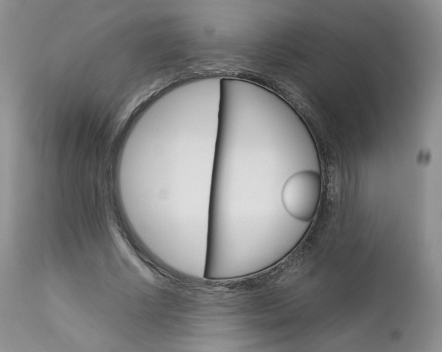 X0000113110634200908281019
