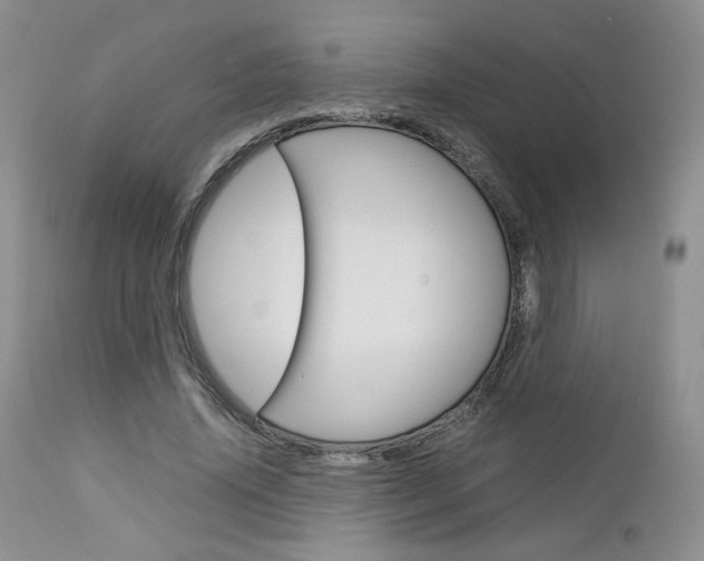X0000113110636200908281019