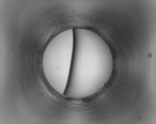 X0000113110642200908281019