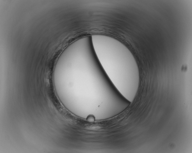 X0000113110643200908281019