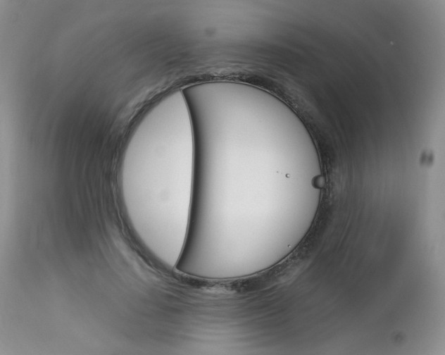 X0000113110644200908281019