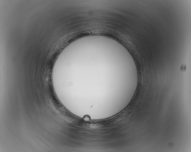 X0000113110645200908281019