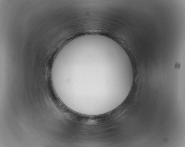 X0000113110647200908281019
