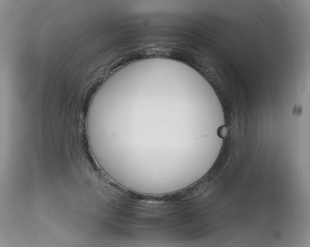 X0000113110649200908281019