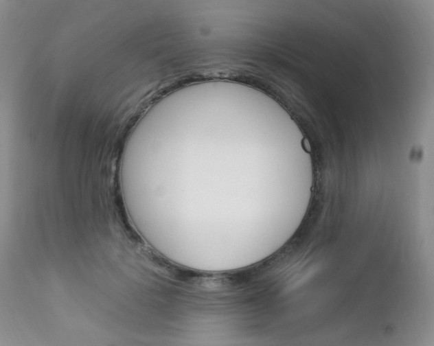 X0000113110652200908281019