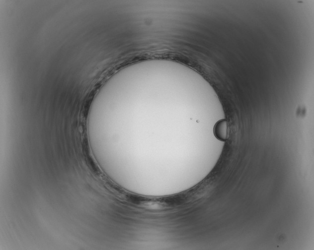 X0000113110654200908281019