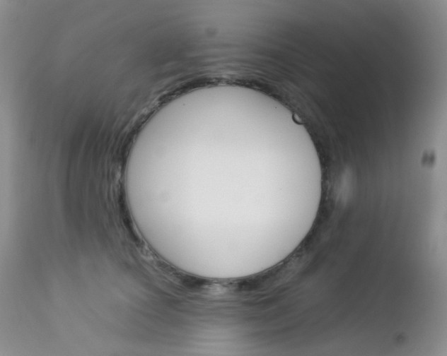 X0000113110660200908281019