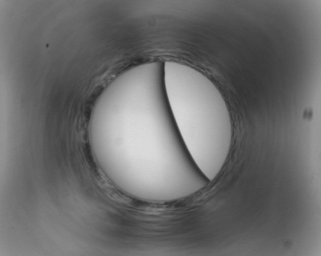 X0000113110661200908281019