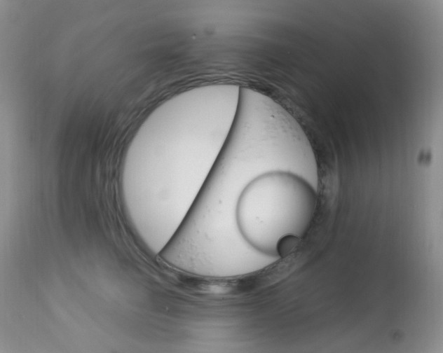 X0000113110662200908281019