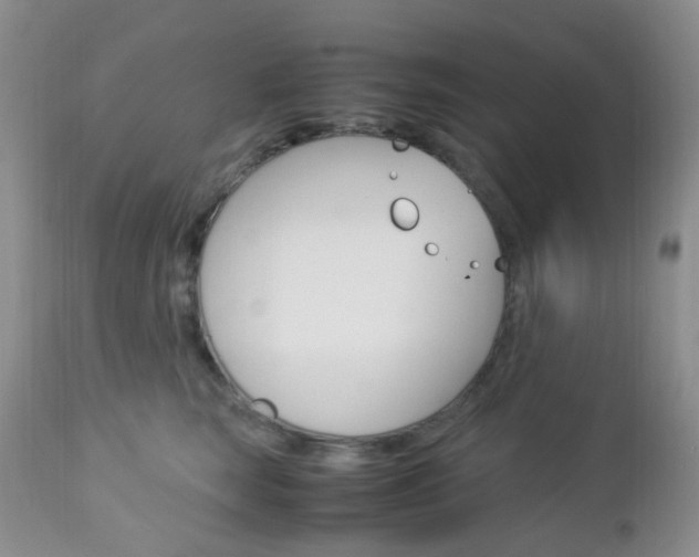 X0000113110663200908281019