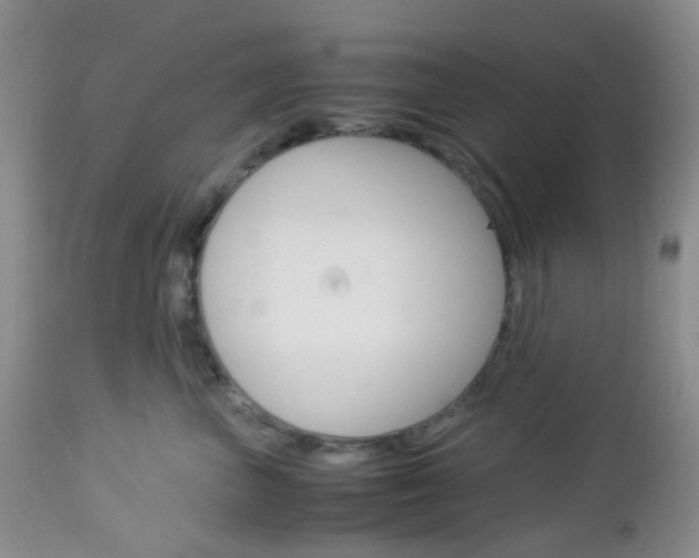 X0000113110667200908281019