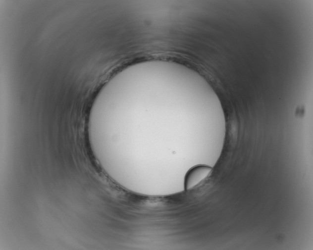 X0000113110668200908281019
