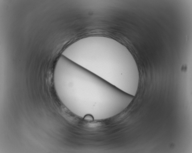 X0000113110669200908281019