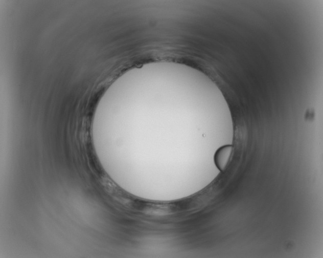 X0000113110671200908281019