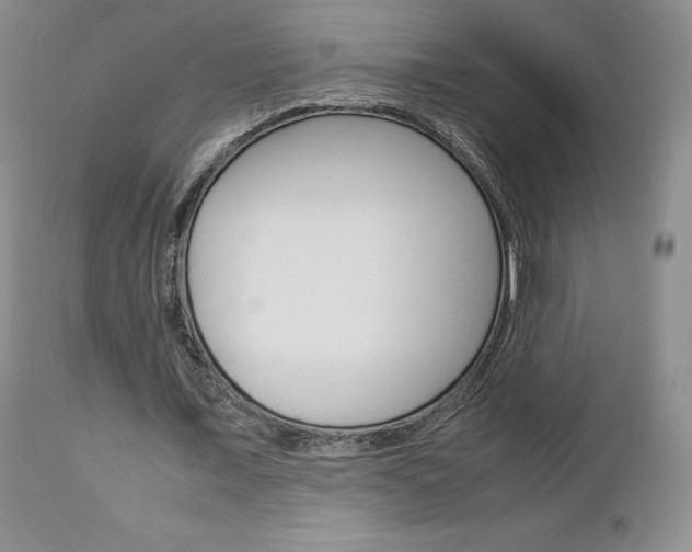 X0000113110675200908281018