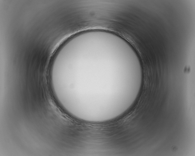 X0000113110676200908281018
