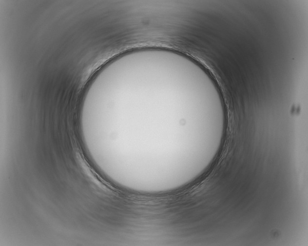 X0000113110677200908281018