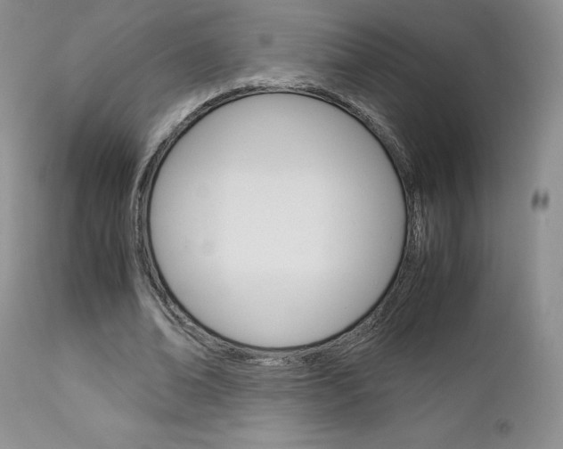 X0000113110678200908281018
