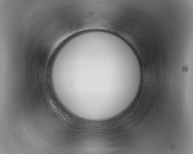 X0000113110680200908281018