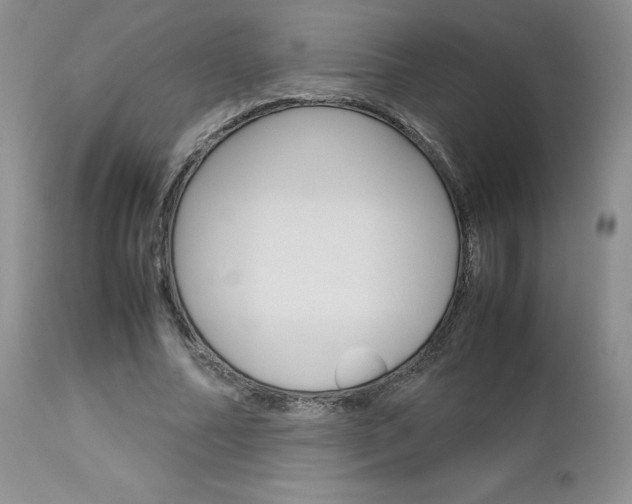 X0000113110682200908281018
