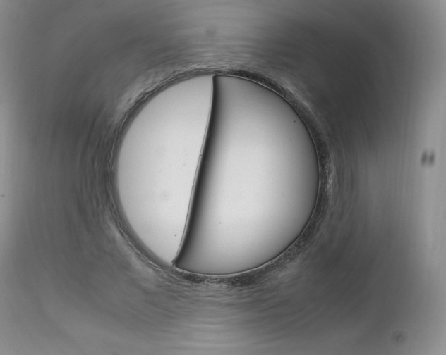 X0000113110685200908281018