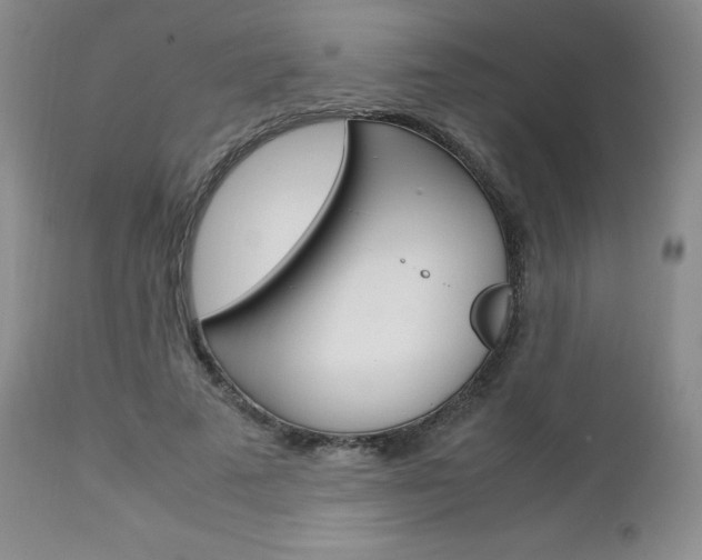 X0000113110689200908281018