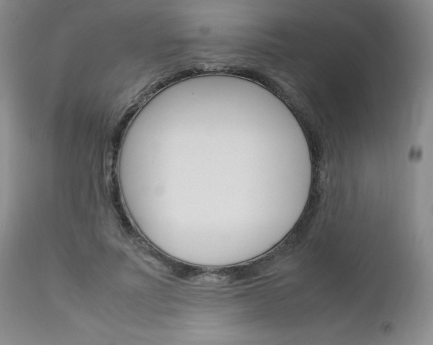 X0000113110691200908281018