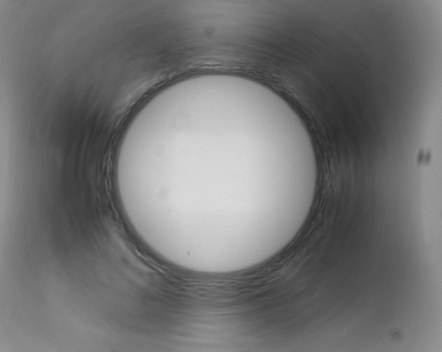 X0000113110692200908281018