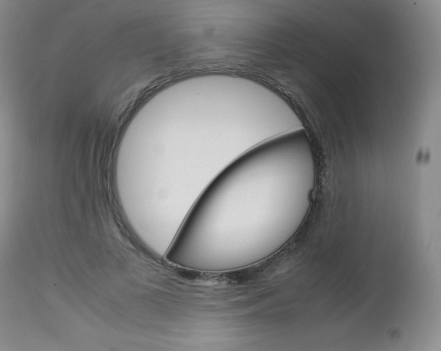 X0000113110693200908281018