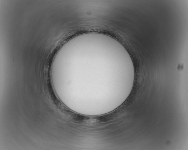 X0000113110695200908281018