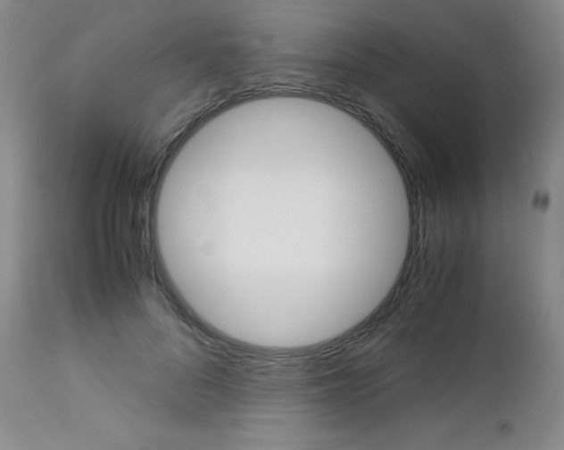 X0000113110696200908281018