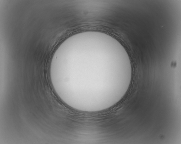 X0000113110697200908281018