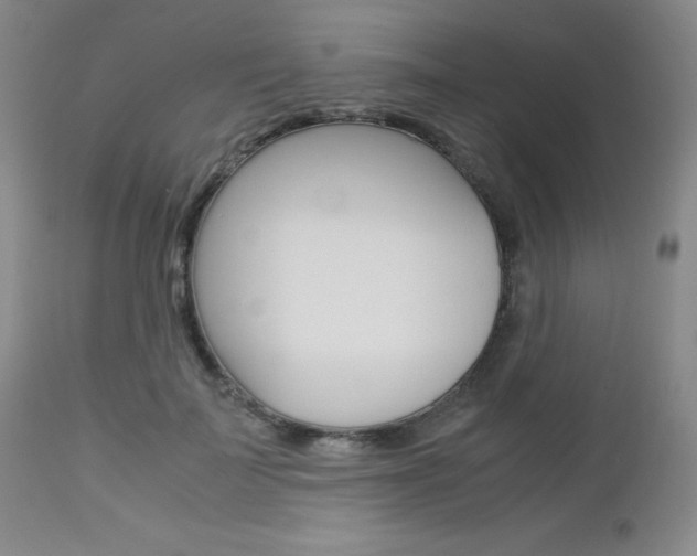 X0000113110699200908281018