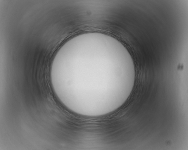X0000113110700200908281018