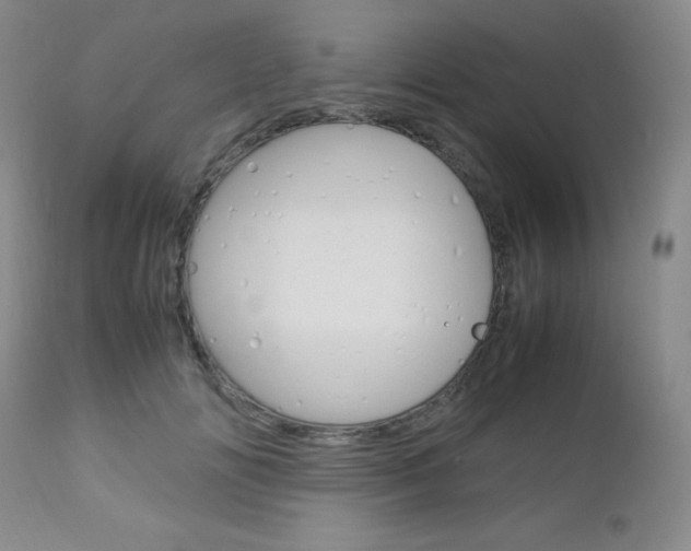 X0000113110702200908281018