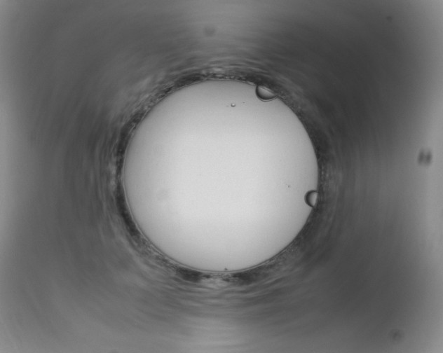 X0000113110703200908281018