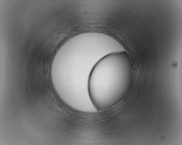 X0000113110704200908281018