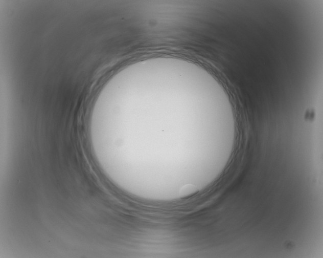X0000113110705200908281018