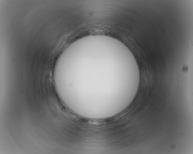 X0000113110706200908281018