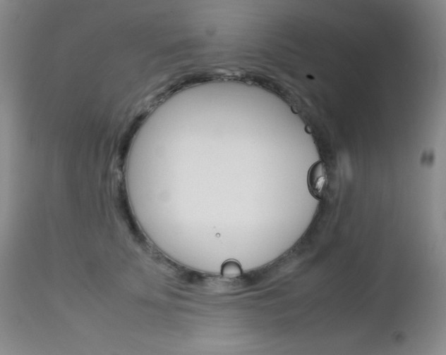 X0000113110707200908281018